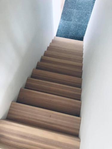 特隆赫姆Single room的铺有木地板和蓝色地毯的楼梯