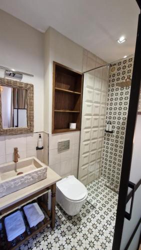 戈里察Bujtina Behram的浴室配有卫生间、盥洗盆和淋浴。