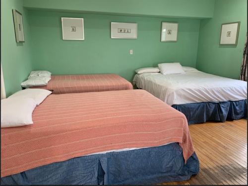 怀尔德伍德Sun Shine的绿墙客房内的两张床