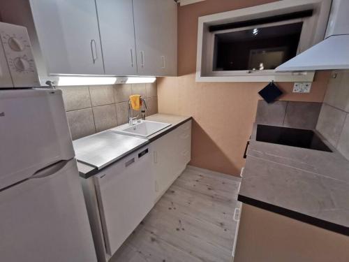 KvaloyslettaSpacious apartment on Kvaløya的一间带水槽和冰箱的小厨房
