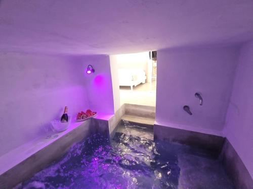 乌真托TORRE VECCHIA RELAIS的紫色客房,地板上设有一个游泳池