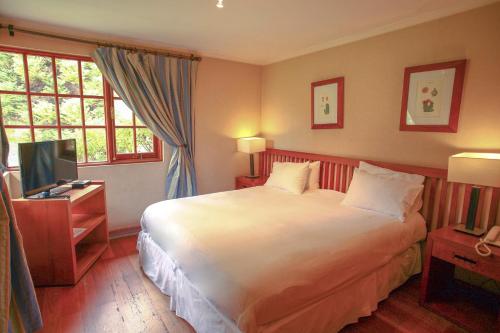 圣费利佩Hotel y Cabañas Palomar - Caja los Andes的一间卧室配有一张大床和电视