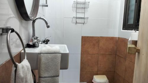 科尼尔-德拉弗龙特拉Sol y playa的一间带水槽和淋浴的浴室