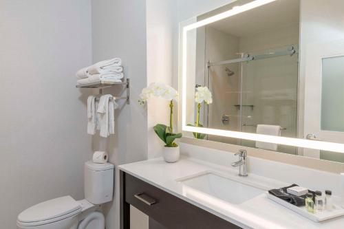 弗瑞斯科Cambria Hotel Copper Mountain的一间带水槽、卫生间和镜子的浴室