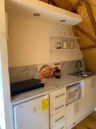 明多Magic Elf Glamping的一间带冰箱和水槽的小厨房