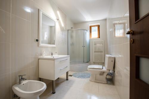布拉索夫Charming Villa in a Private Mountain Resort的一间带水槽、卫生间和淋浴的浴室