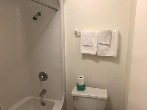 奥斯汀奥斯丁豪华酒店的一间带卫生间、淋浴和毛巾的浴室