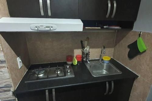 巴拿马城R.1108 Lindo aparta estudio equipado tipo ejecutivo.的一间带水槽和炉灶的小厨房