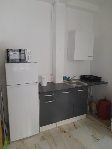 法兰西堡Appartement T3 Cœur De Ville Patio的厨房配有白色冰箱和水槽