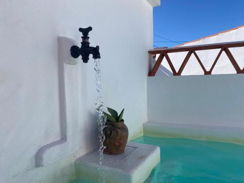 莫托拉Casa Vó Briata的水泉,在房间里栽有盆子