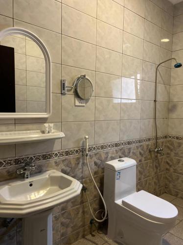 达曼ريف الزهور للشقق الفندقيه的一间带卫生间、水槽和镜子的浴室