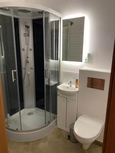 格但斯克Kauris Apartament的带淋浴、卫生间和盥洗盆的浴室