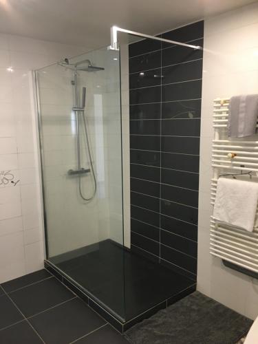 蒙巴兹雅克Clos PIMI的浴室设有玻璃淋浴间,铺有黑色瓷砖