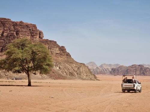 瓦迪拉姆Wadi Rum Desert Heart的一辆白色的卡车,用一棵树穿过沙漠