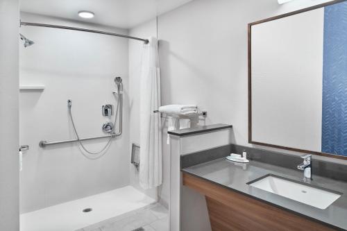 彭蒂克顿Fairfield Inn & Suites by Marriott Penticton的带淋浴、盥洗盆和镜子的浴室