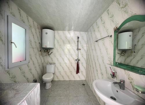 Khelvach'auriAgro Guest House Tsiskari in Machakhela的一间带水槽、卫生间和镜子的浴室