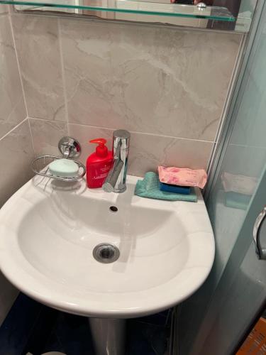 佩特罗瓦纳莫鲁Relax Apartments的浴室水槽和肥皂机