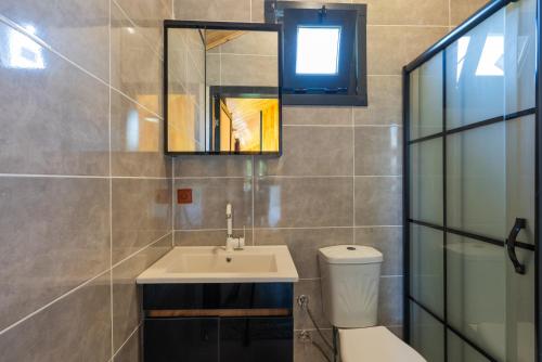 博德鲁姆İNCİ BOUTİQUE APART的一间带水槽、卫生间和镜子的浴室