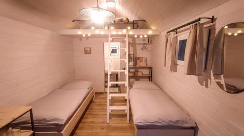 ChvalšinyTiny House的小房间设有两张床和梯子