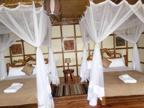 Buhoma Community Haven lodge的配有白色窗帘的客房内的两张床