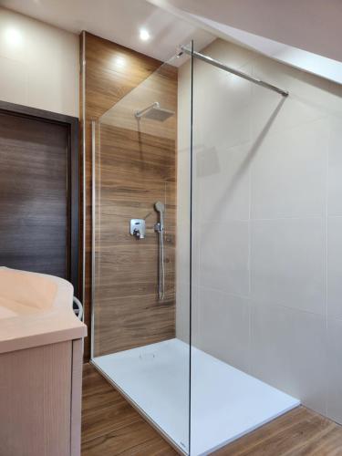 布莱德Vila Rajska ptica的浴室里设有玻璃门淋浴