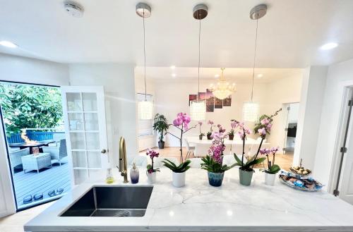 旧金山New Modern Spacious 4bdr Home by Golden Gate Park的厨房配有水槽和花卉台面
