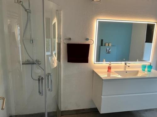 瑟沃格Green Garden的浴室配有盥洗盆和带镜子的淋浴