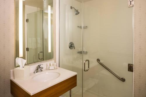皇后区万豪纽约拉瓜迪亚机场春季山丘套房的一间带水槽和淋浴的浴室