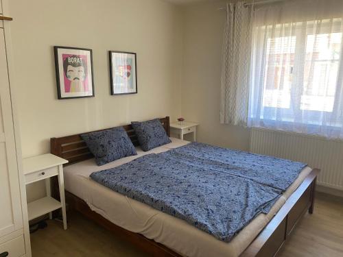 ŠakvicePalava Holiday House的一间卧室配有一张带蓝色床单的床和一扇窗户。