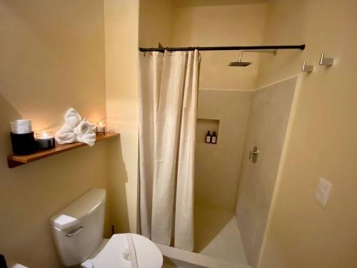 奥尔沃克斯岛sunsteps purple room的带淋浴帘和卫生间的浴室