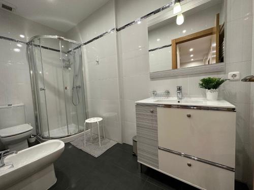 巴利亚多利德Apartamento Lujo centro histórico的带淋浴、盥洗盆和卫生间的浴室