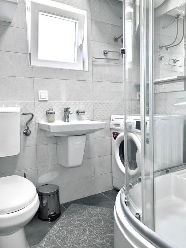 赫尔采格诺维Apartman Misovic的浴室配有卫生间、盥洗盆和洗衣机。