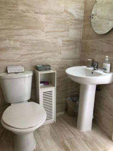 霍利黑德Entire cosy home from home country retreat的浴室配有白色卫生间和盥洗盆。