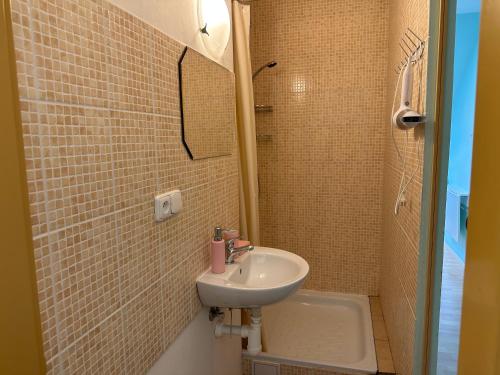 卡罗维发利Loft apartment Svahova 6的一间带水槽和镜子的小浴室