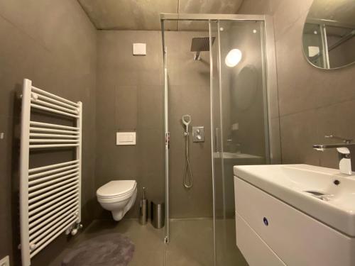 弗尔赫拉比Apartmán pod sjezdovkou的带淋浴、卫生间和盥洗盆的浴室