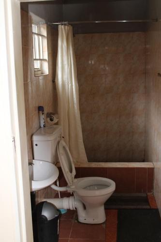 ChaledzelaMount Hermon Safari Cottages的一间带卫生间和水槽的浴室