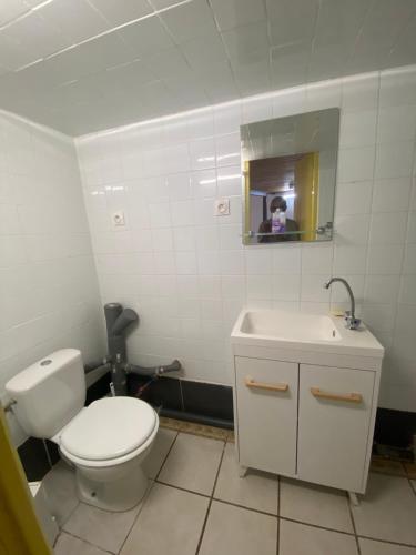 Neuvy-sur-LoireLocations de la centrale de Belleville的一间带卫生间、水槽和镜子的浴室