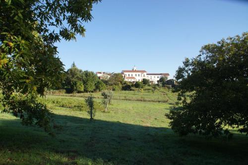 ArregaQuinta do Passal的一座大田,有房子的背景