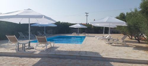 阿里奥波利斯库库里套房旅馆的一个带椅子和遮阳伞的庭院和一个游泳池