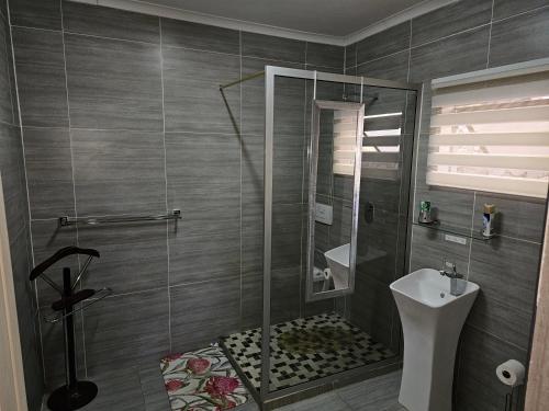 埃斯特科特The Haven: Make our Home your Home的带淋浴、卫生间和盥洗盆的浴室