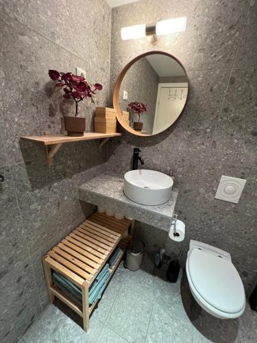 克里斯蒂安桑Koselig leilighet på Bystranden的一间带水槽、镜子和卫生间的浴室