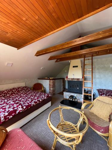 萨拉热窝Best of Ilidza and Rakovica holiday HOME的一间卧室配有一张双层床和梯子