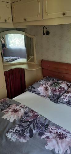 JedwabnoU Gosi的一间卧室设有两张床和窗户。