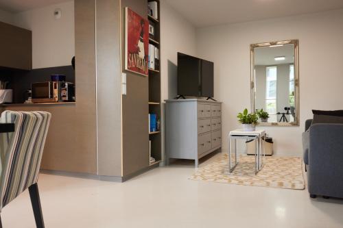 尼翁NYON - Appartement meublé tout confort的一间带电视和梳妆台的客厅