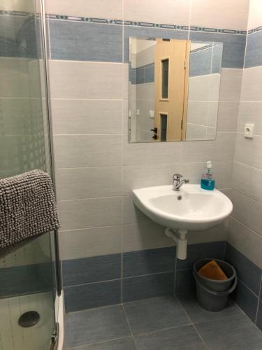 伏尔塔瓦河畔利普诺利普诺波切克公寓酒店的浴室配有盥洗盆和带镜子的淋浴