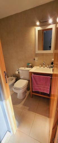 乌斯怀亚Departamento Austral II的一间带卫生间和水槽的浴室