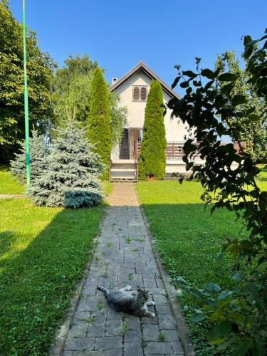 KriževciTomasova kuća的一只猫躺在房子前面的路上