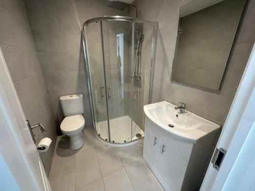 亨顿Sunny Modern, 1 Bed Flat, 15 Mins Away From Central London的带淋浴、卫生间和盥洗盆的浴室