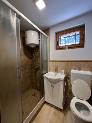 萨拉热窝Best of Ilidza and Rakovica holiday HOME的浴室配有卫生间、淋浴和盥洗盆。