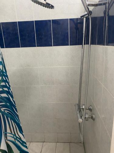 帕皮提Bungalow Pamatai Sky的浴室设有蓝色和白色瓷砖淋浴。